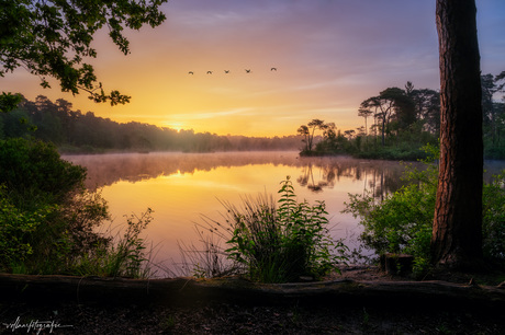 Oisterwijkse bossen en vennen