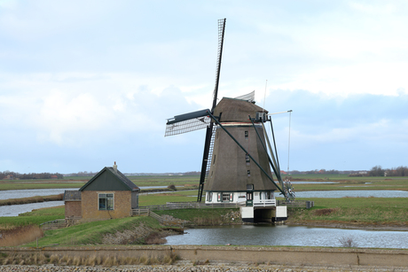 Molen!