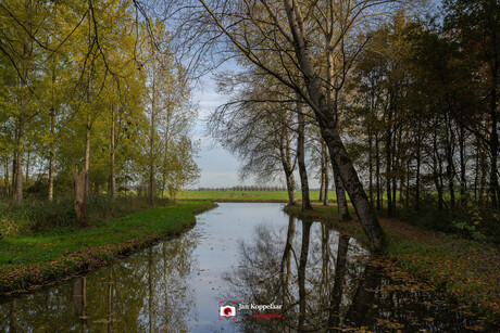 Qadimgi Rimda jinsiy aloqa porno video