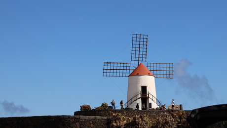 Molen in Jardin de Cactus