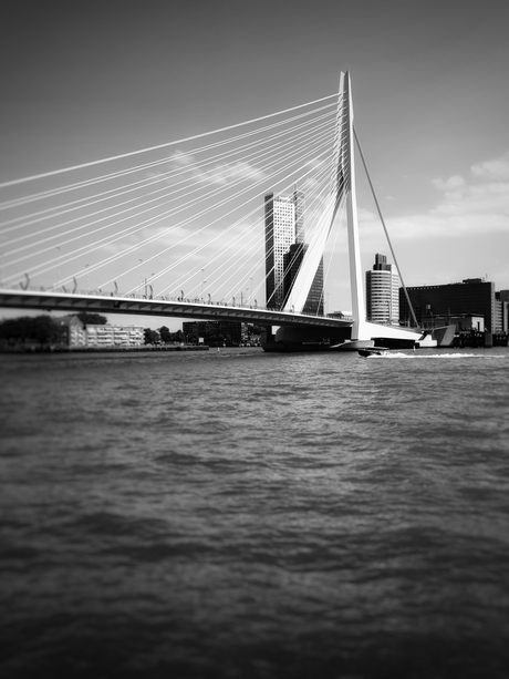 Erasmus brug 