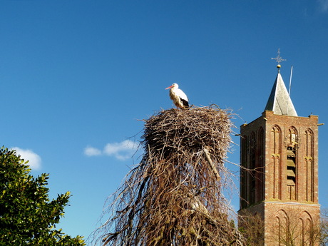Westbroek.