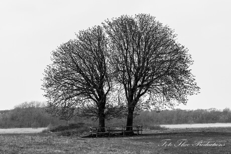 Twee-eenheid