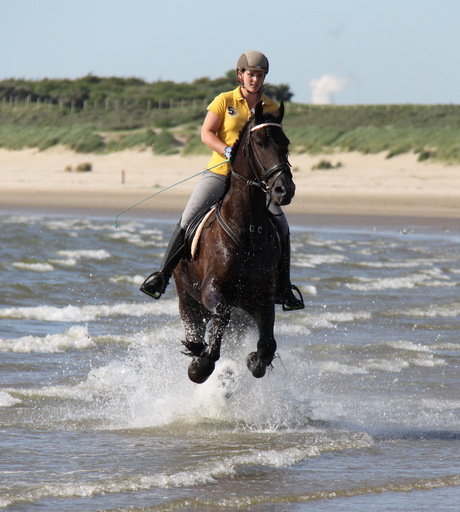 Op het strand