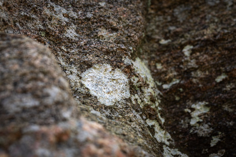 09- Fotoserie Hunebed D52