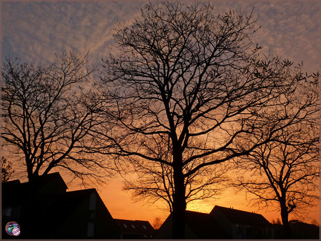 Silhouetten in de ochtend …