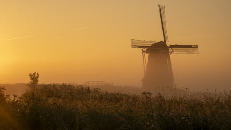 Friese polders