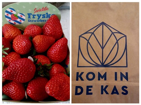 Kom in de kas 
