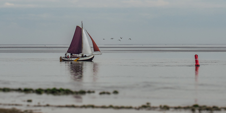 Waddenrust