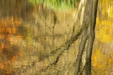 Herfst, tijd voor reflectie