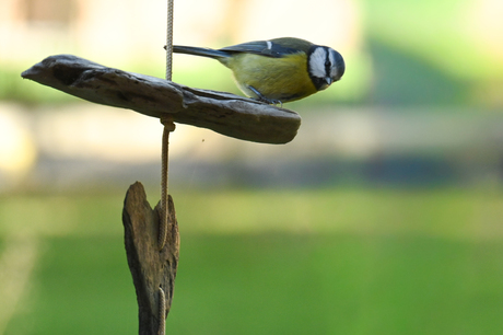 Mag ik even binnen kijken?