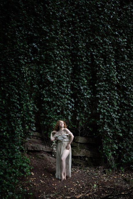 Wall of Ivy