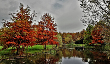 Herfst in een park.