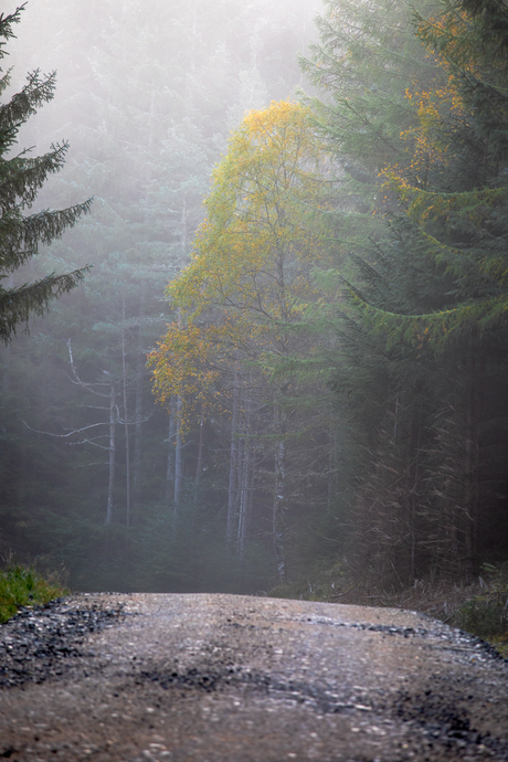 Cairngorms National Park, Schotland