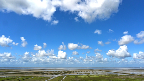 Het Wad