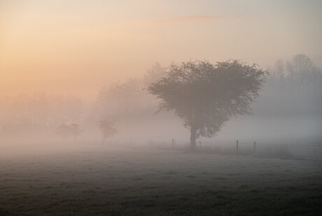Nevelige zonsopkomst