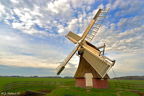't Witte Lam.
