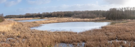 Kromslootpark  Almere