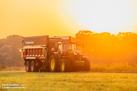 Gras oprapen bij zonsondergang