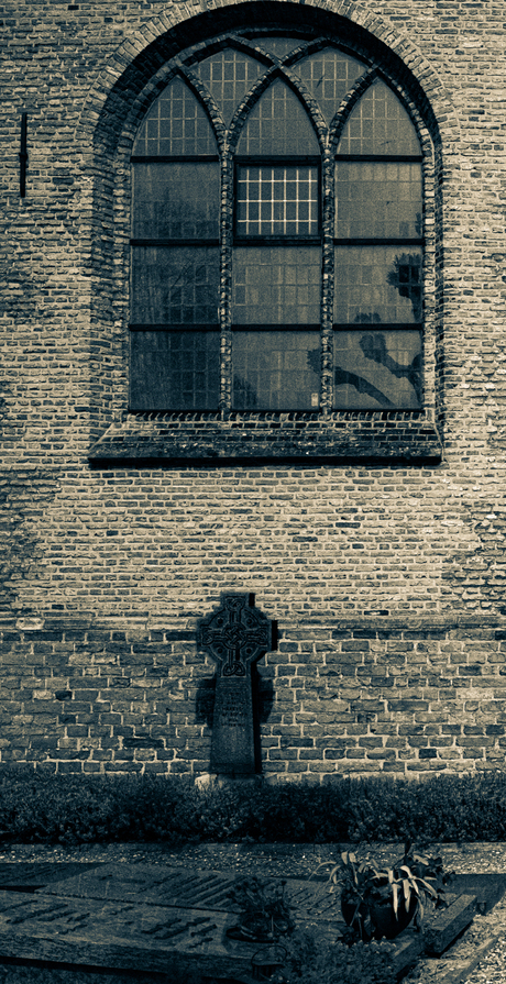 In de schaduw van het gesternte