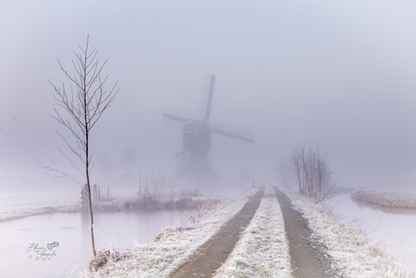Winter in de pilder