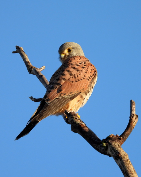 Een heerlijke dag in het duin