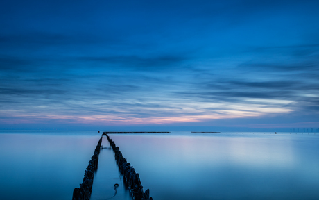 Blauwe uurtje 