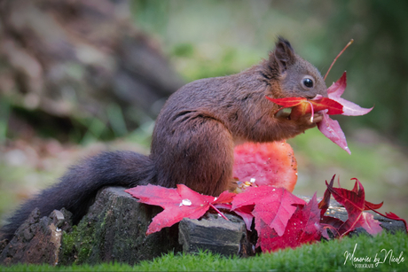 Enjoy the smell of nature