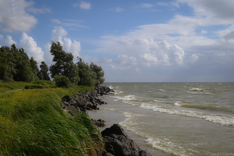IJsselmeer