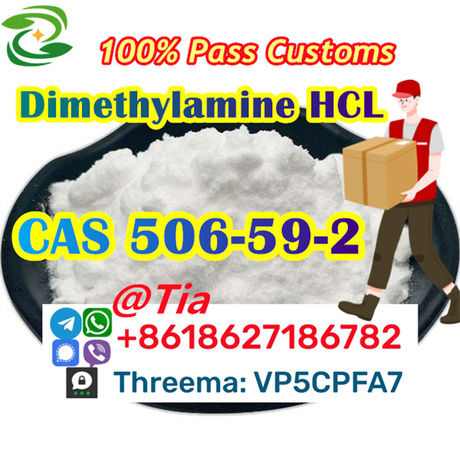 Dimethylamine hydrochloride cas 506-59-2 Global Supply High Purity