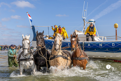 Paarden reddingboot demonstratie Ameland 