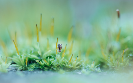 Nog eentje dan voor vandaag