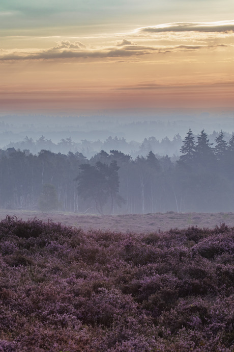 Kleurrijke laagjes