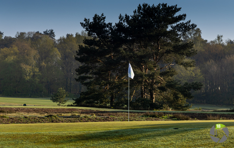 Hoge Kleij golfvlag