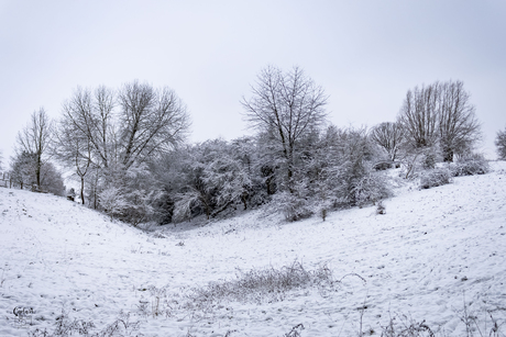 Sneeuw, 11 Januari 2026