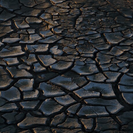 Drooggevallen  wad