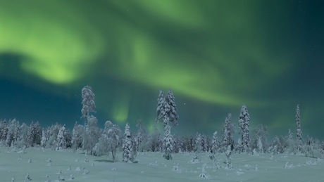 Noorderlicht 
