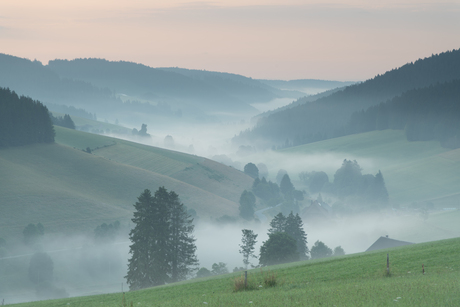 Zonsopkomst Linach-tal, zwarte woud