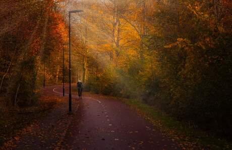 Lonely biker in the autum