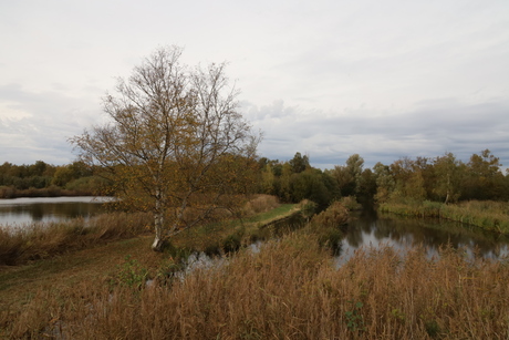 Herfstkleuren - 1