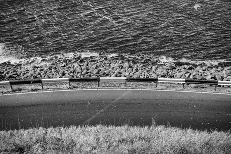 seagull speedway monochrome