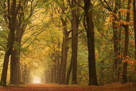 Een herfst moment