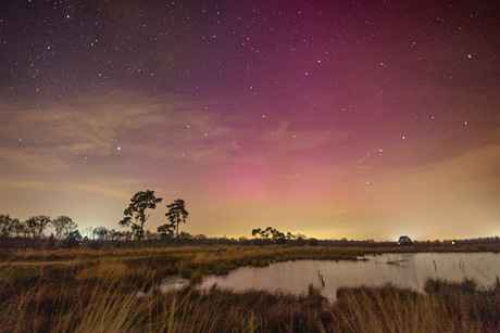 Noorderlicht in de Engbertsdijksvenen