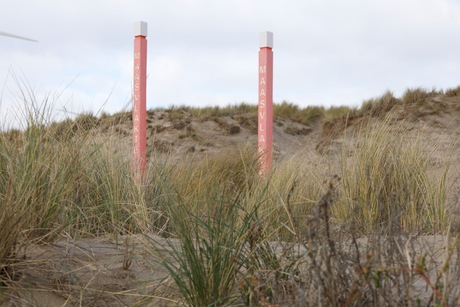 Strandpalen