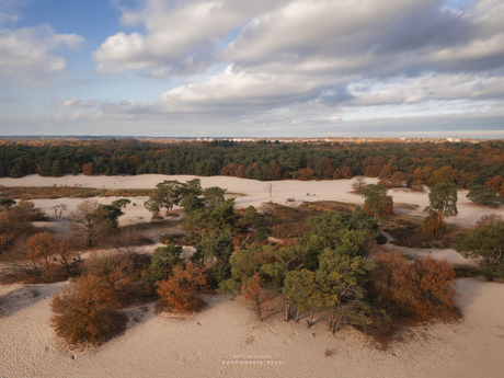 Herfst in de Soester Duinen