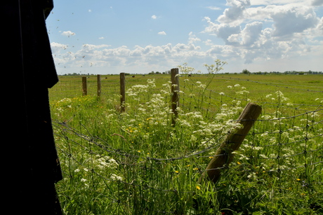 POLDERLANDSCHAP