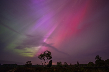 Noorderlicht Balloërveld