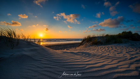 Petten aan zee