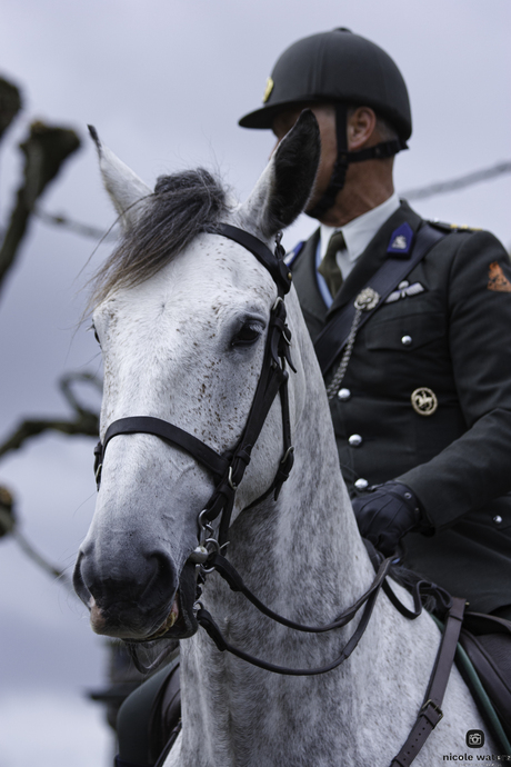 het paard had wat lolligs bedacht ?