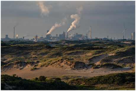 Noord-Hollandse bedrijvigheid